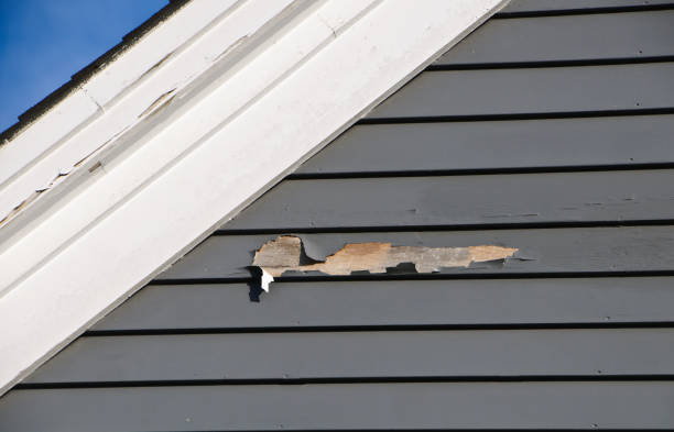 Best Construction Debris Removal  in Williamsburg, PA